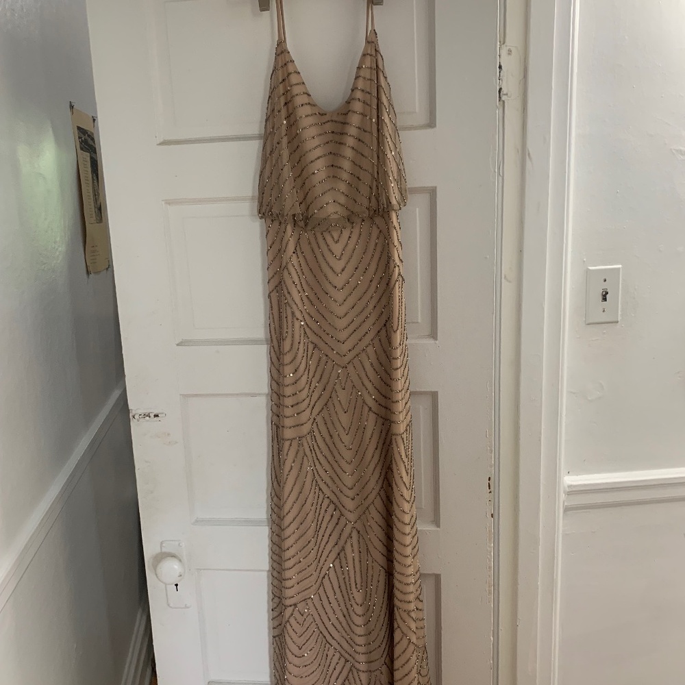 Adrianne Papell Champagne Pink Beaded Gown Size 2